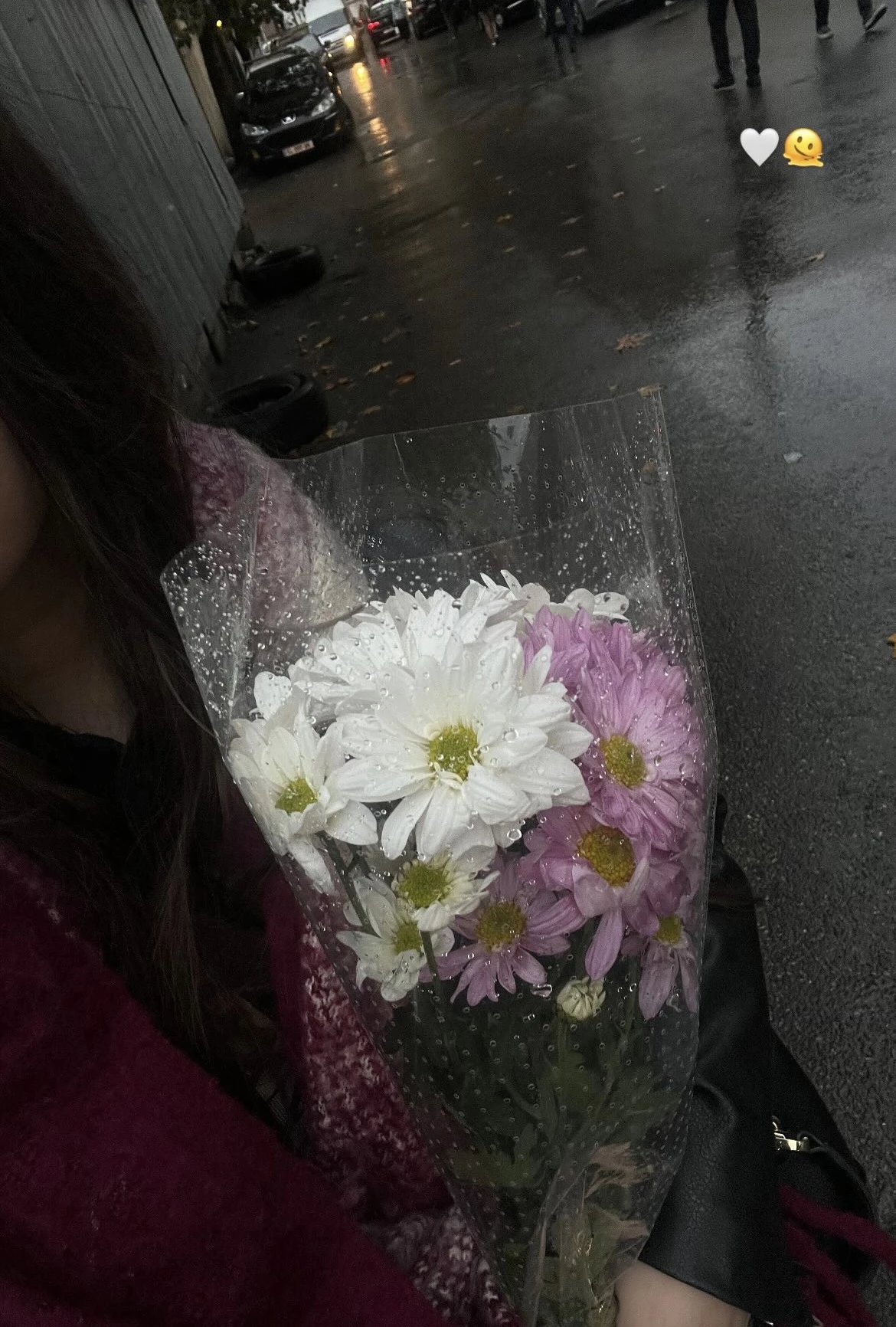 Alina_2025